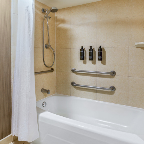 ADA-Tub-with-Rails-V2