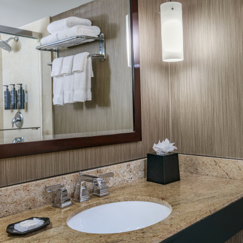 Guest-Bath-Shower-V2