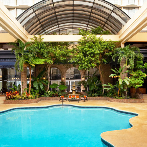 sheatlxspo-179723-pool-daytime-high_1800x787