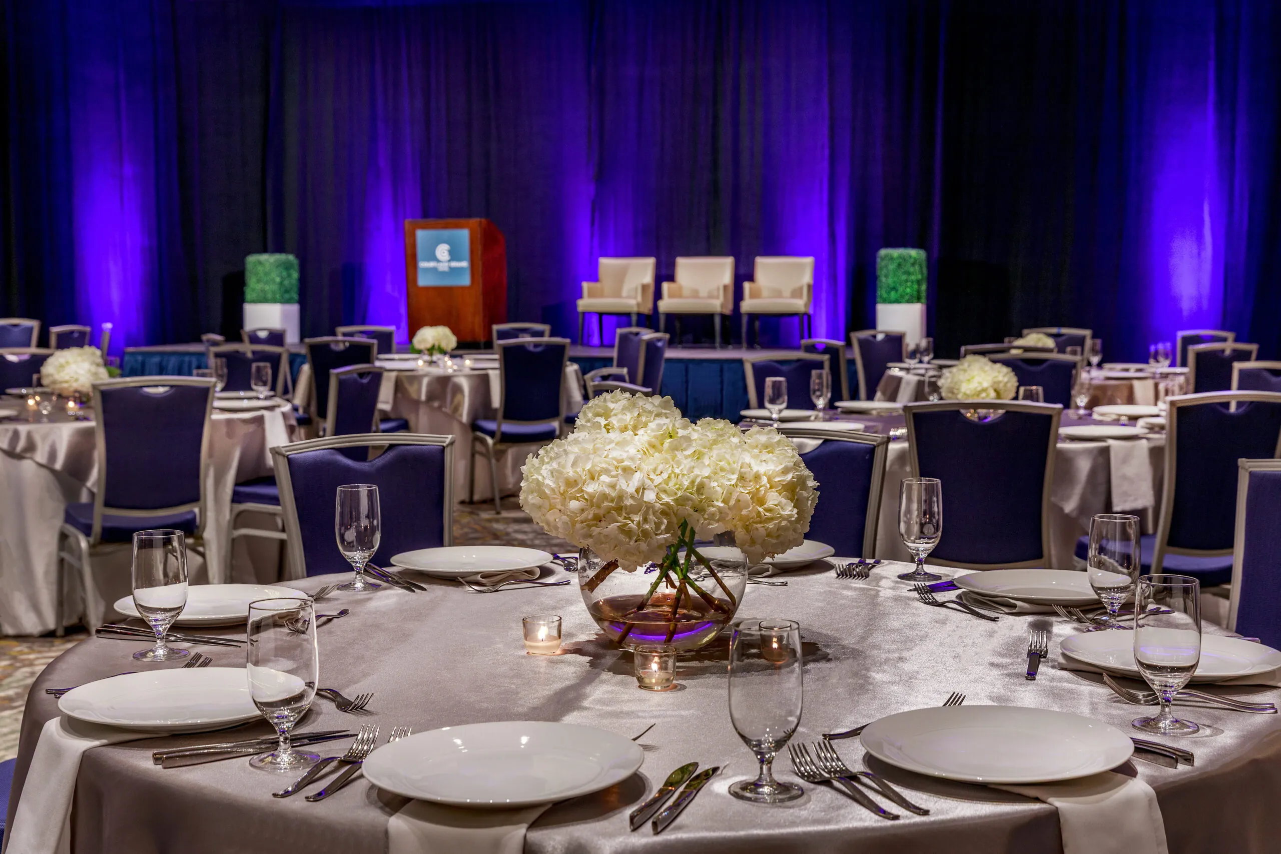 Capital Ballroom Detail V2